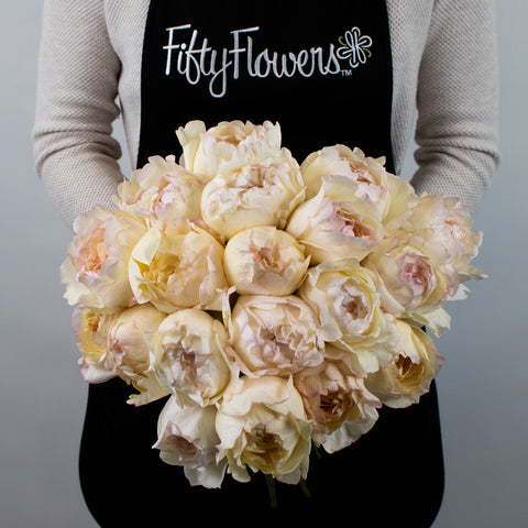 Cream Peony Piaget Rose Flower Bunch in Hand
