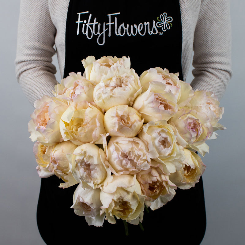Cream Peony Piaget Rose Flower Bunch in Hand
