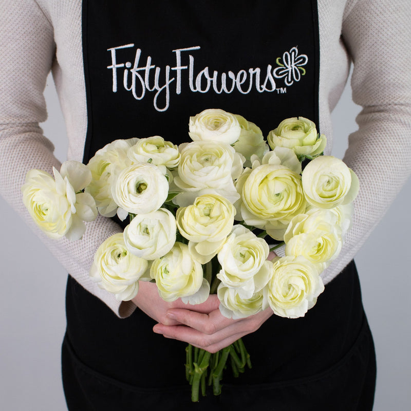 Champagne Ranunculus Flower Bunch in Hand