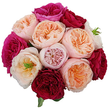 David Austin Assorted Garden Wholesale Roses In a vase