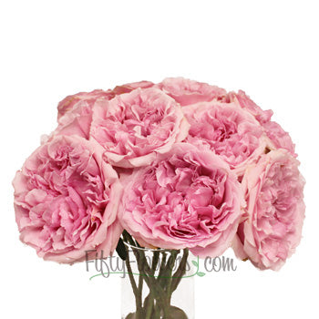 David Austin Light Pink Wholesale Garden Roses In a vase