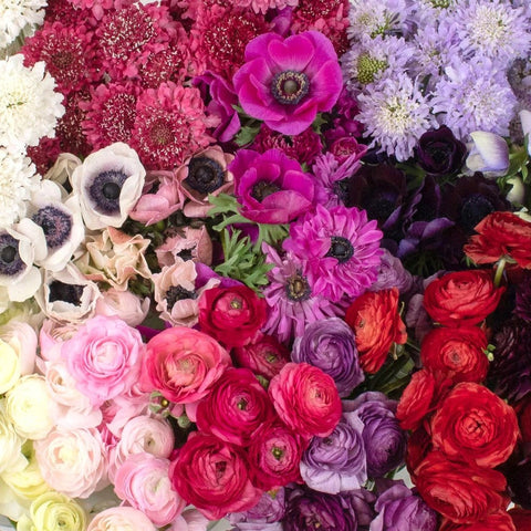 Delicate Multicolor DIY Flower Kit Up Close