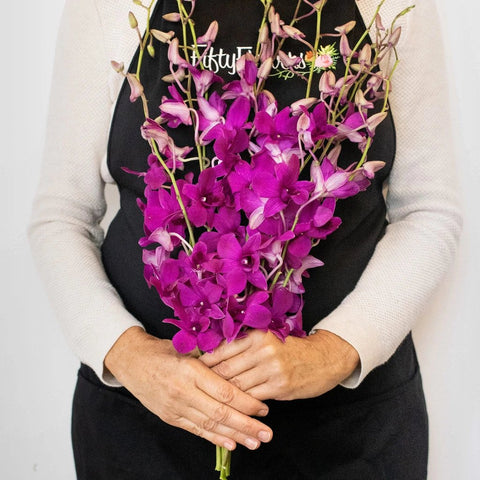 Orchids Purpleberry Wholesale Flower Bunch In a Hand