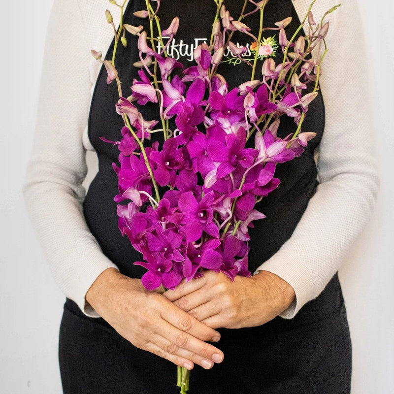 Orchids Purpleberry Wholesale Flower Bunch In a Hand