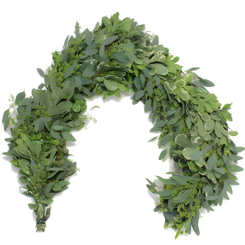 Seeded Eucalyptus and Pittosporum Wholesale FlayLay