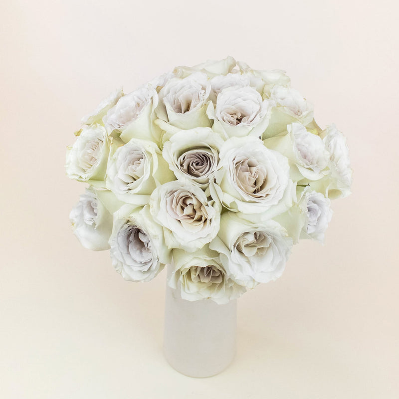 Early Grey Wholesale Roses In a Vase