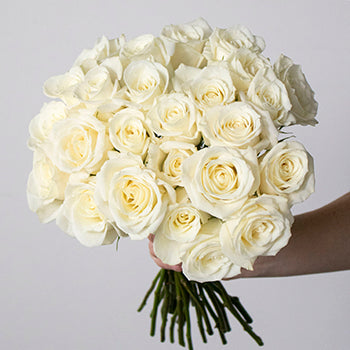 White rose wholesale wedding flowers