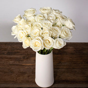 White rose flowers for delivery