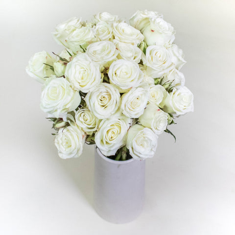 Floreana White Wholesale Spray Roses In a Vase