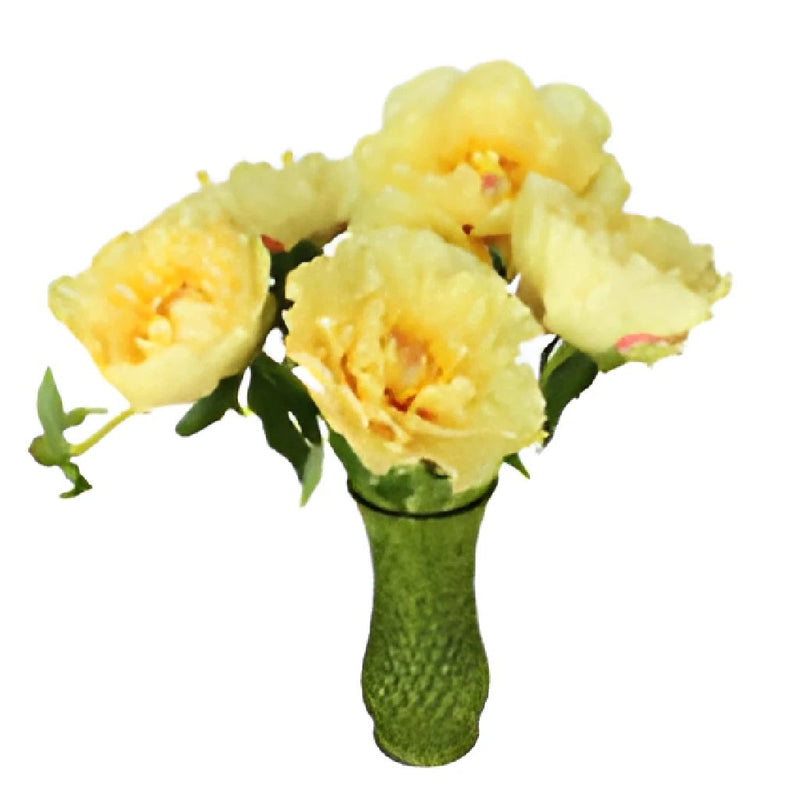 Garden Treasure Yellow Peony in a vase