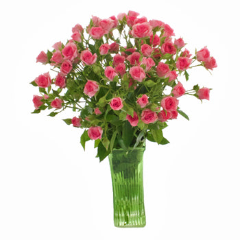 Gracia Hot Pink Spray Wholesale Roses In a vase