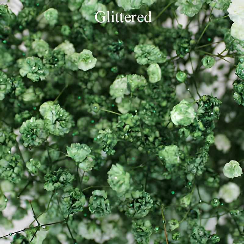 Baby's Breath Olive Green Flower