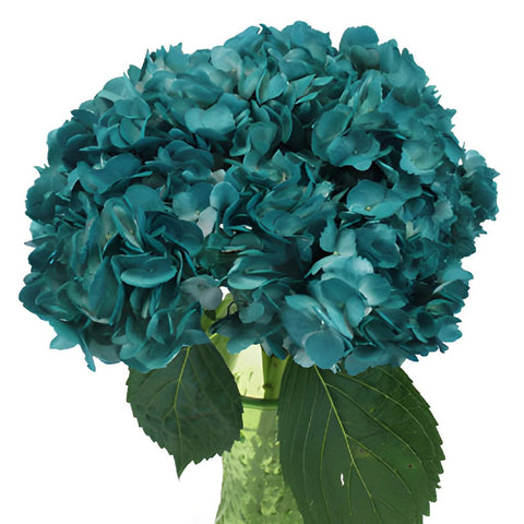 Aquamarine Blue Airbrushed Hydrangea Wholesale Flower in a Vase