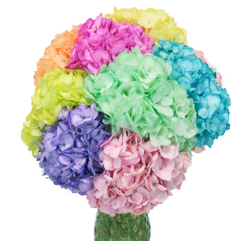 Assorted Enhanced Hydrangea Wholesale Wedding Flower in a Vase
