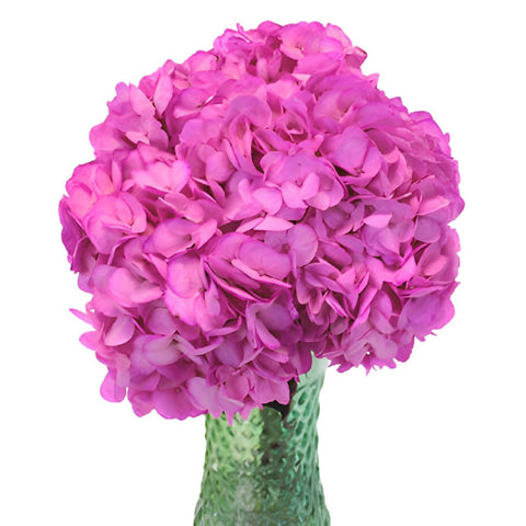 Magenta Enhanced Wedding Flowers in a Vase