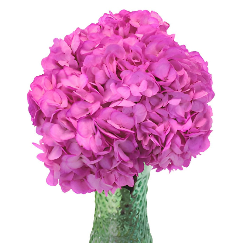 Magenta Enhanced Wedding Flowers in a Vase