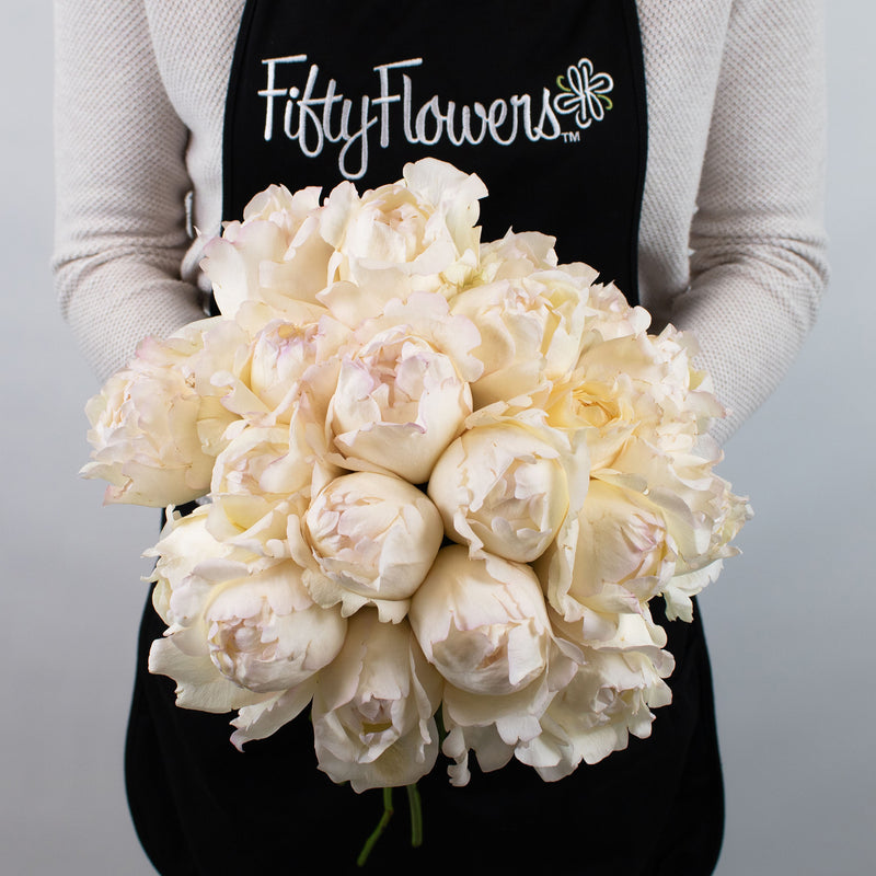 Ivory Garden Rose Flower Bunch in Hand