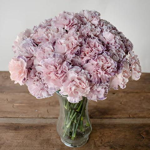 Killua Pink and Lavender Carnation Flowers in a Vase