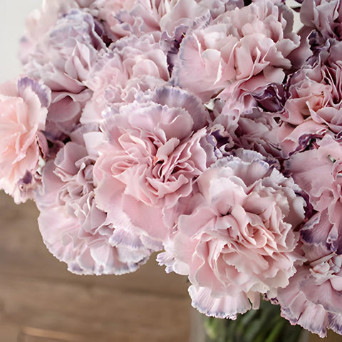 Killua Pink and Lavender in a vase Close Up