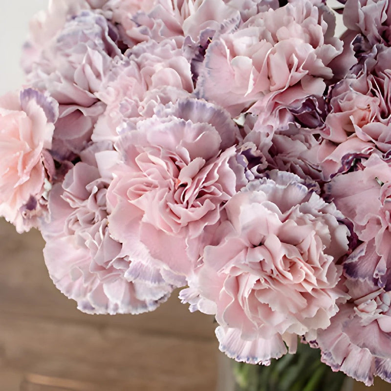 Killua Pink and Lavender in a vase Close Up