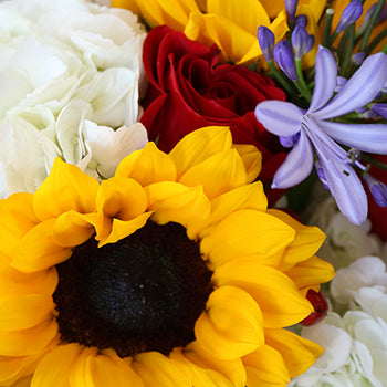 Labor Day Weekend Flowers