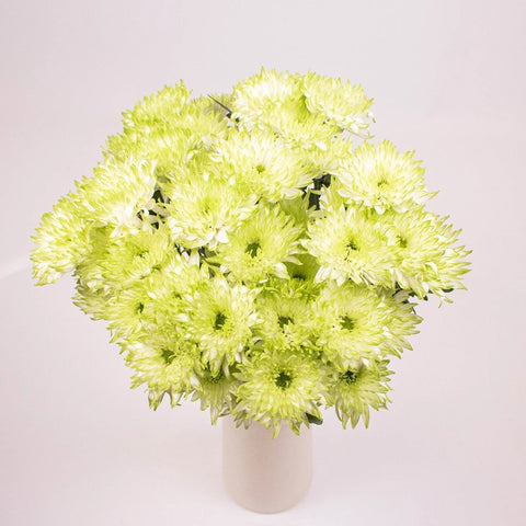 Light Green Cushion Flowers Bunch in Vase