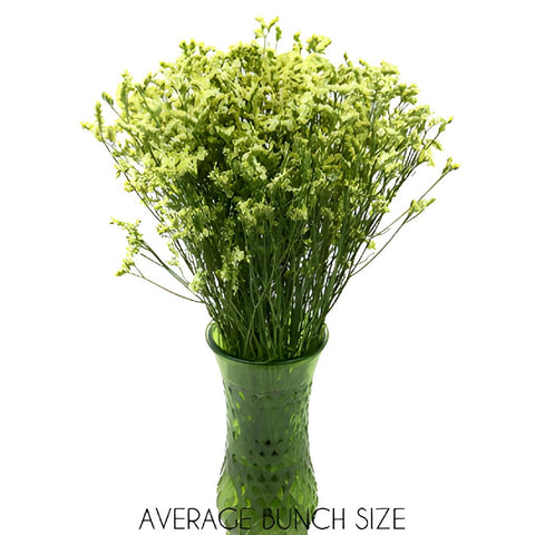 Yellow Limonium Flower