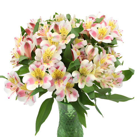 Look at that Alstroemeria Flower in a Vase