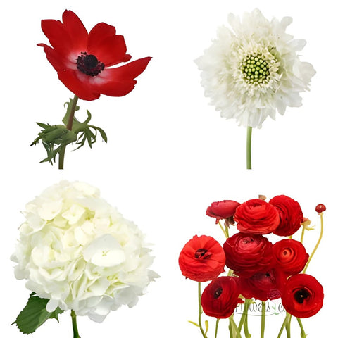 Lush Garden Red DIY Flower Kit Bunch