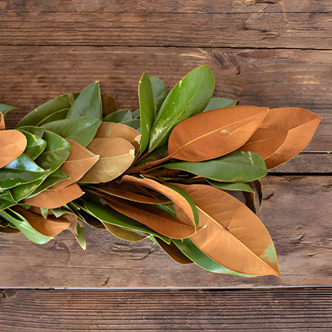Magnolia Garland
