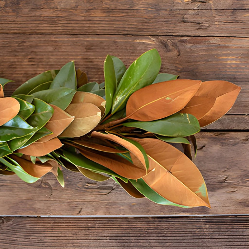 Magnolia Garland