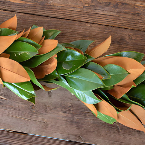 Magnolia Garland