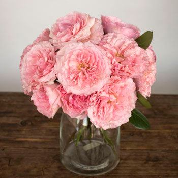 Mayra Pink Garden Wholesale Roses In a vase