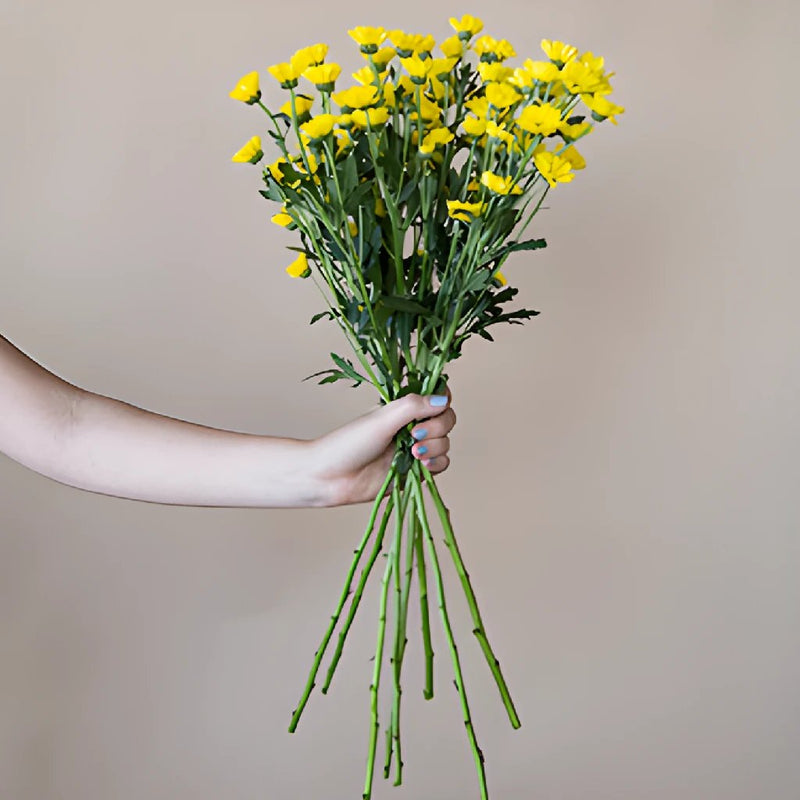 Yellow Micro Pom Flower