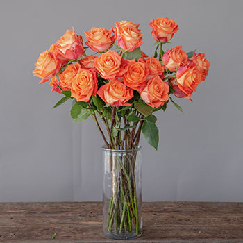 Wholesale Orange Martini Bulk Roses test