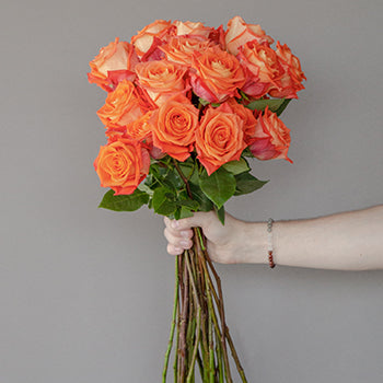 Wholesale Orange Martini Bulk Roses test