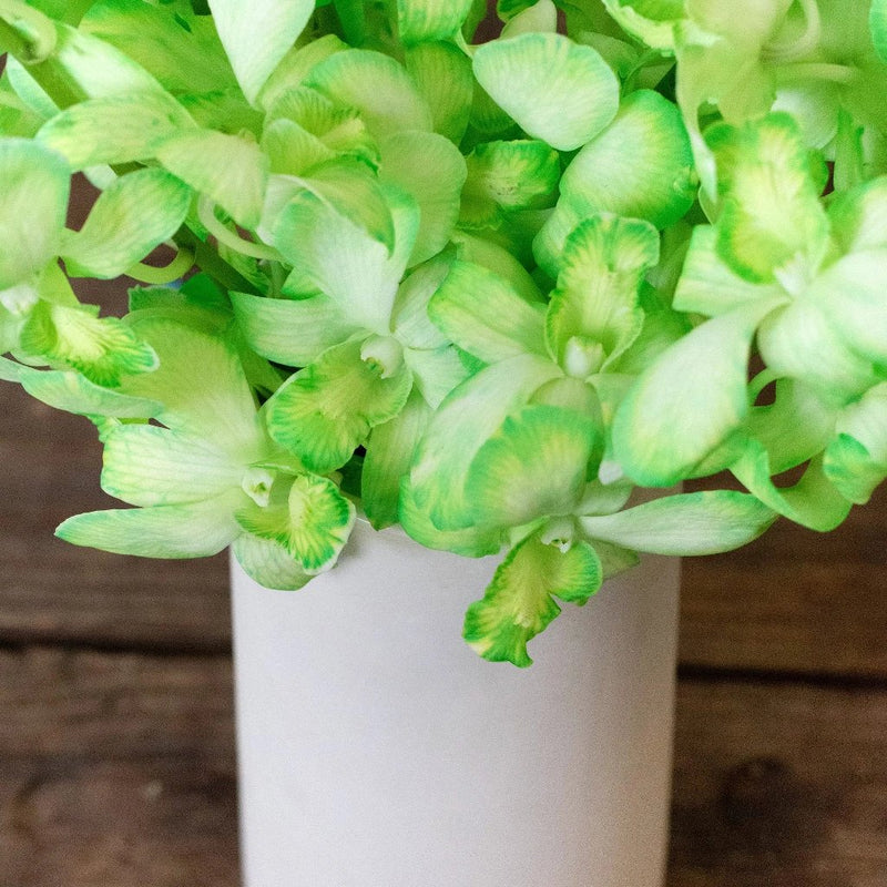 Orchids Green Wholesale Flowers In a Vase