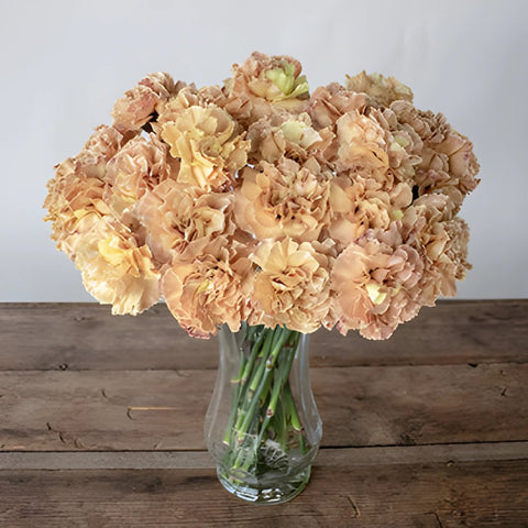 Padi Coral Peach Carnation Flowers in a Vase