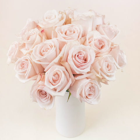 Poma Rosa Blush Roses in a Vase