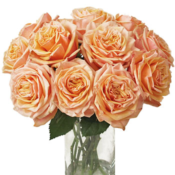 Princess Peach Garden Wholesale Roses In a vase