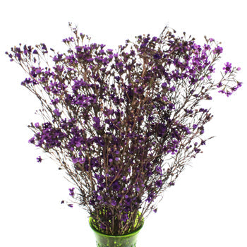 Majestic Purple Enhanced Wax Flowers May 16th to November 30th Delivery