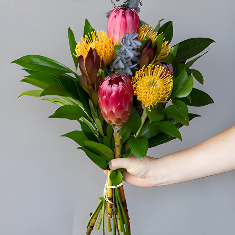 Red Ice Tropical Wholesale DIY Flower Kit In a Hand