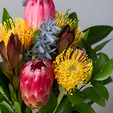 Red Ice Tropical DIY Flower Kit Bunch