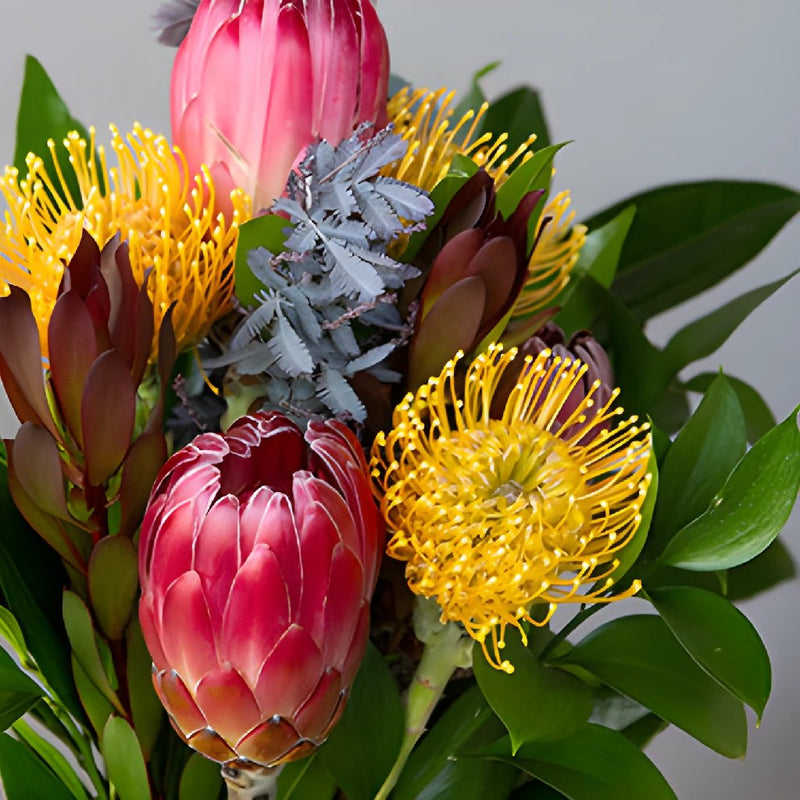 Red Ice Tropical DIY Flower Kit Bunch