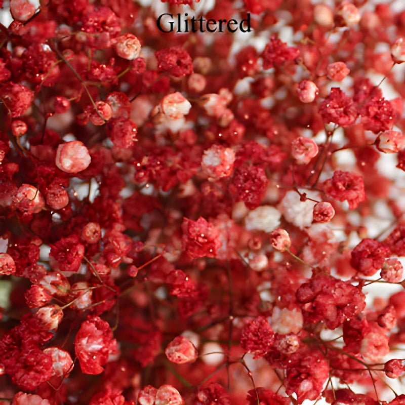 Baby's Breath Flower Rust Red