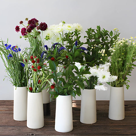 Red and Blue Wildflowers DIY Flower Combo Pack