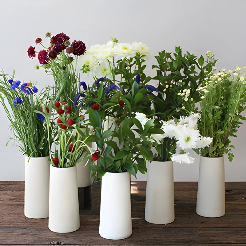 Red and Blue Wildflowers DIY Flower Combo Pack