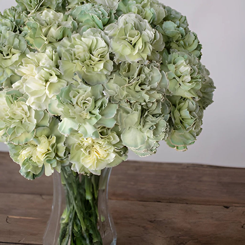 Revy Light Green in a vase Close Up