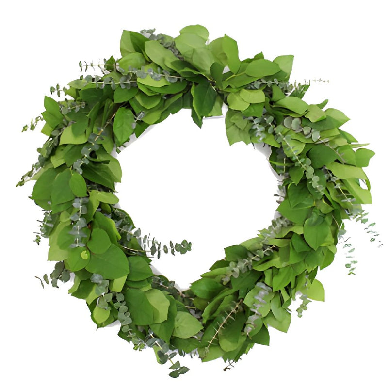 Baby Eucalyptus and Salal Greens Wholesale Greenery FlatLay