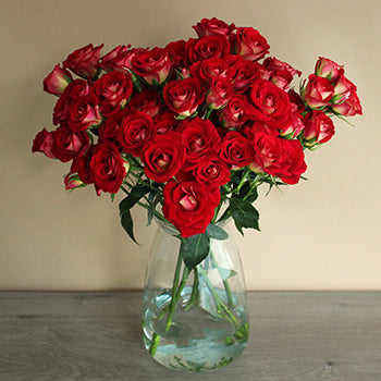 Salsa Red Orange Wholesale Roses In a vase